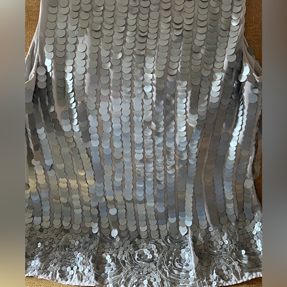 Ann Taylor Loft unique matte sequined top.